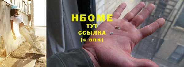прущие грибы Абаза