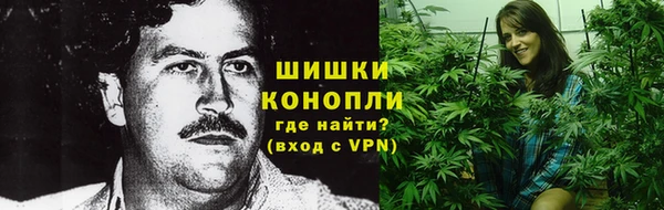 прущие грибы Абаза