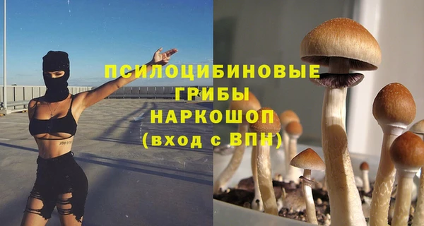 скорость Алексин