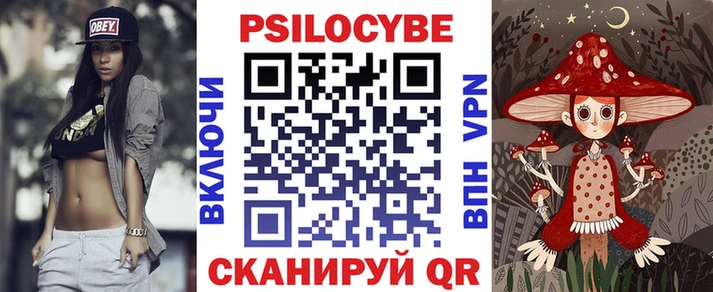 Псилоцибиновые грибы Psilocybe  Лодейное Поле 